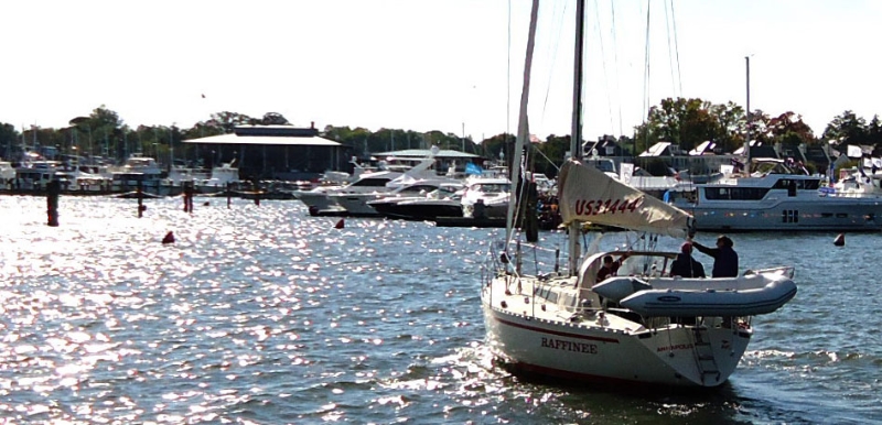 Annapolis Real Estate Agent