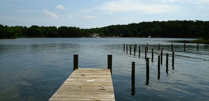 Annapolis Real Estate Agent