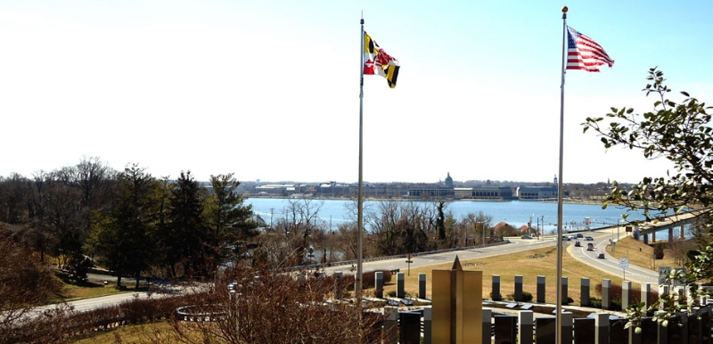 Annapolis Real Estate Agent