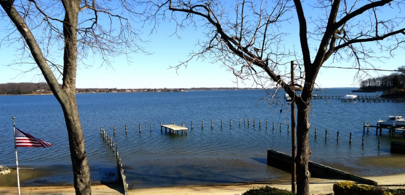 Annapolis Real Estate Agent