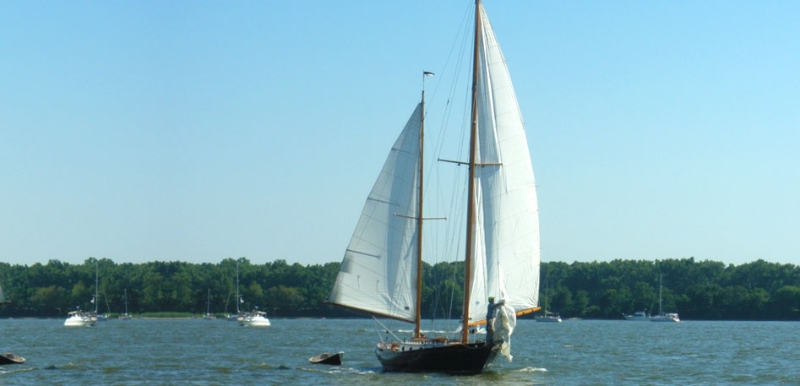 Annapolis Real Estate Agent