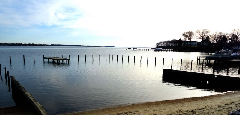 Annapolis Real Estate Agent
